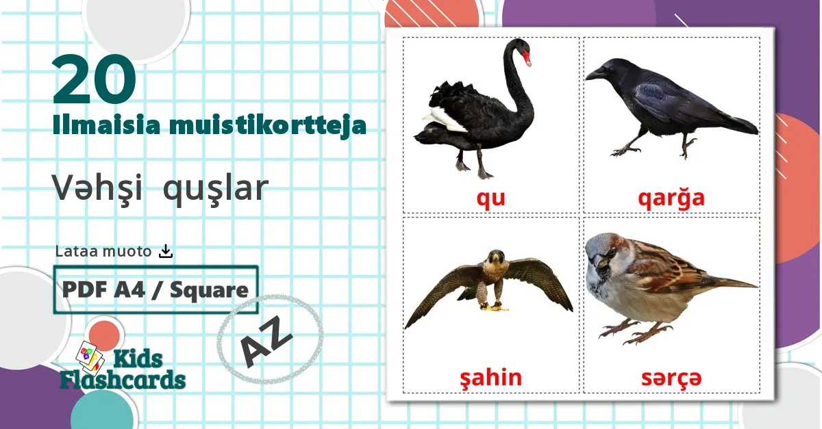 20 Vəhşi  quşlar lasten kuvakortit