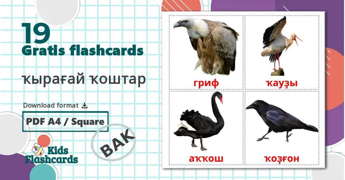 19 ҡырағай ҡоштар billedkort for børn