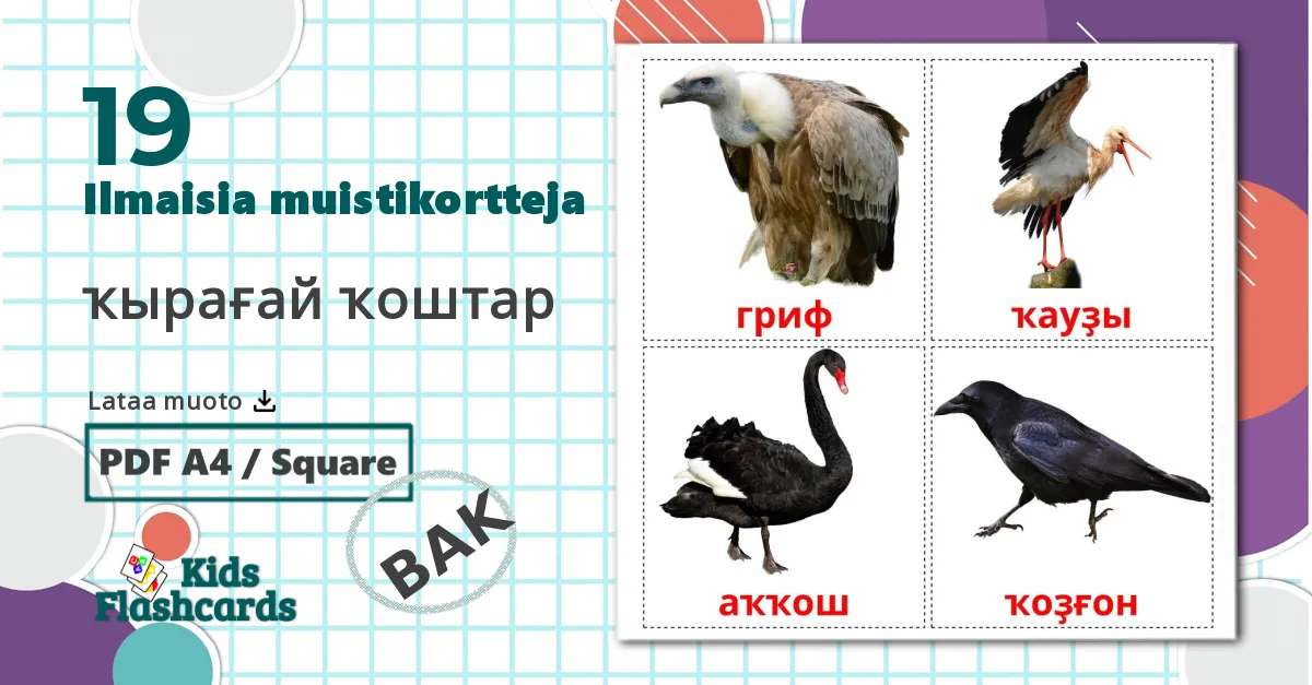19 ҡырағай ҡоштар lasten kuvakortit