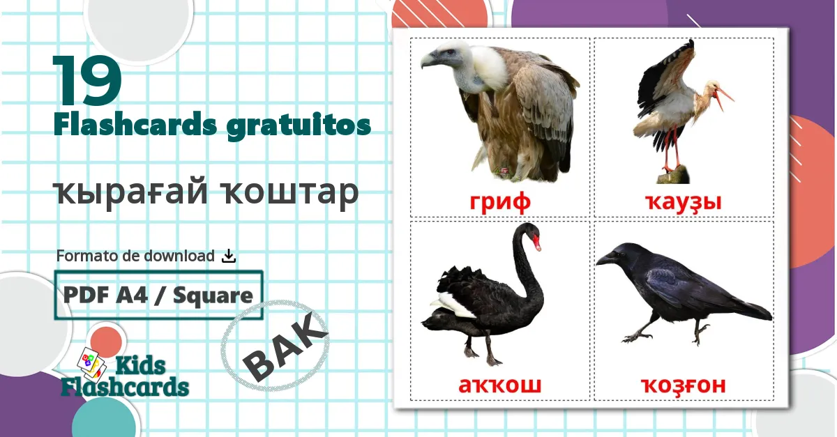 19 Flashcards de ҡырағай ҡоштар