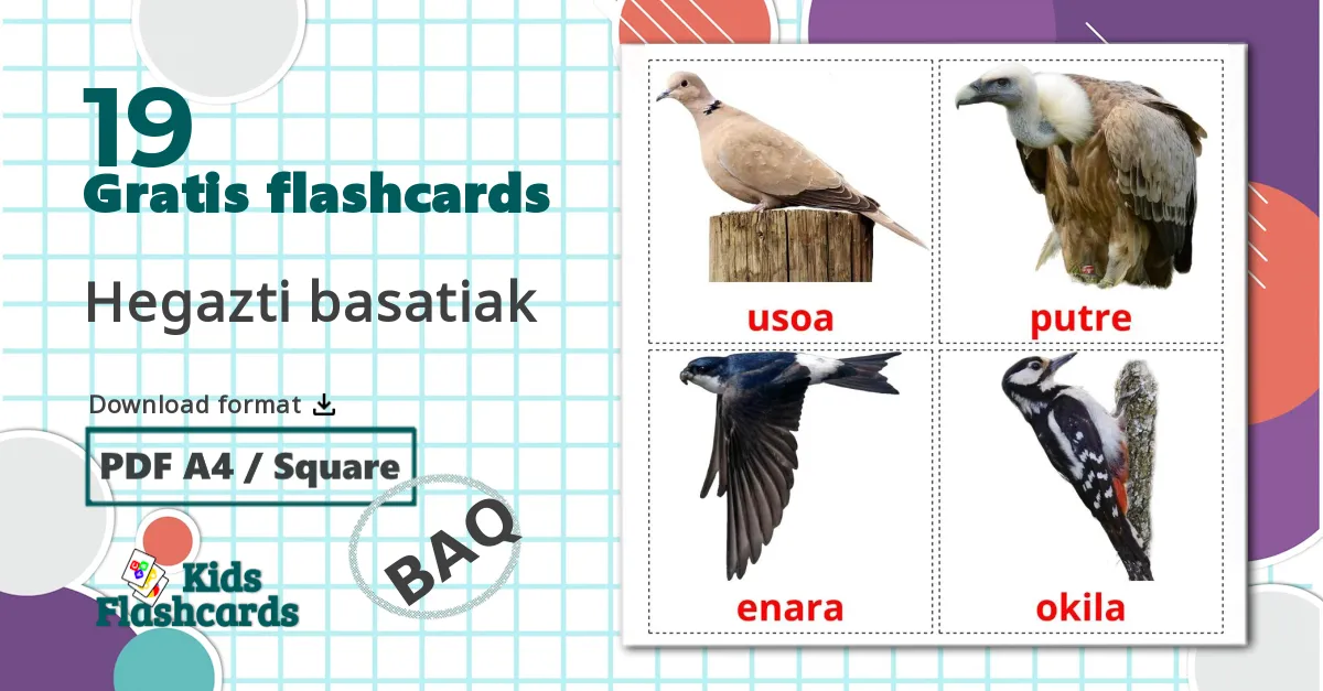 19 Hegazti basatiak bildkort för barn