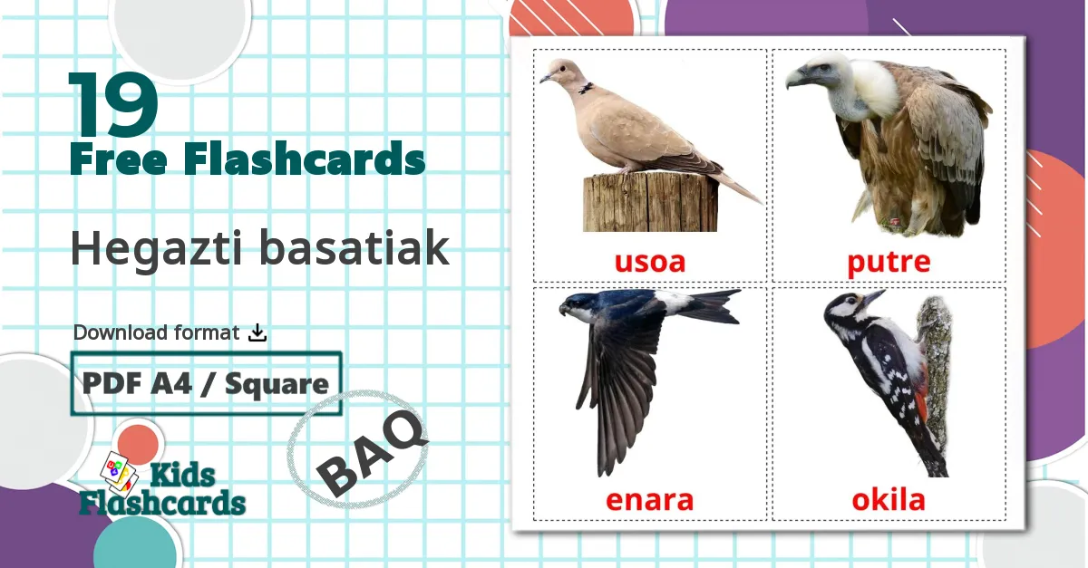 19 Hegazti basatiak flashcards