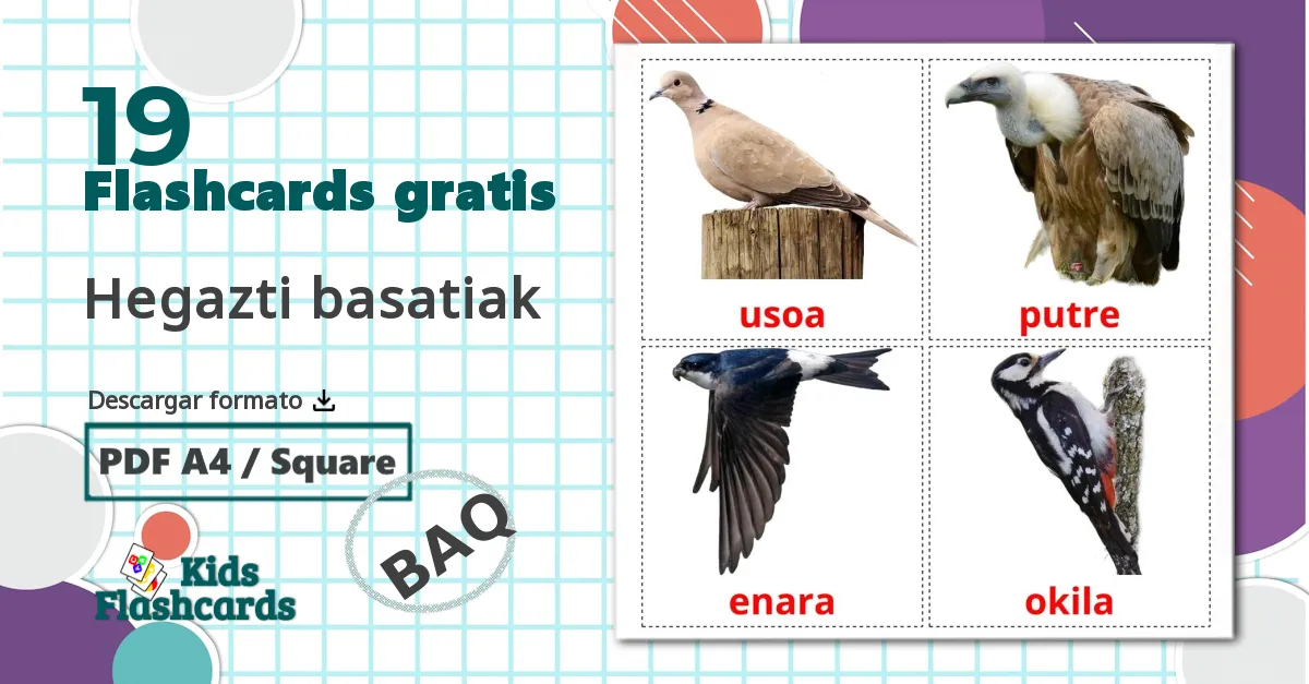 19 tarjetas didacticas de Hegazti basatiak