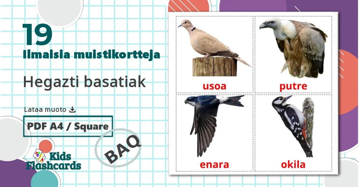 19 Hegazti basatiak lasten kuvakortit