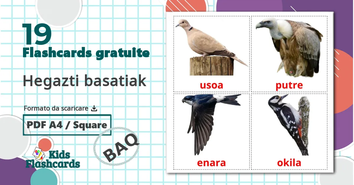 19 flashcards di Uccelli selvaggi