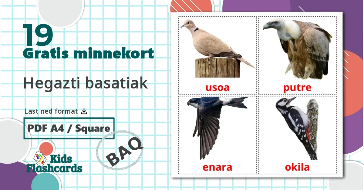 19 Hegazti basatiak bildekort