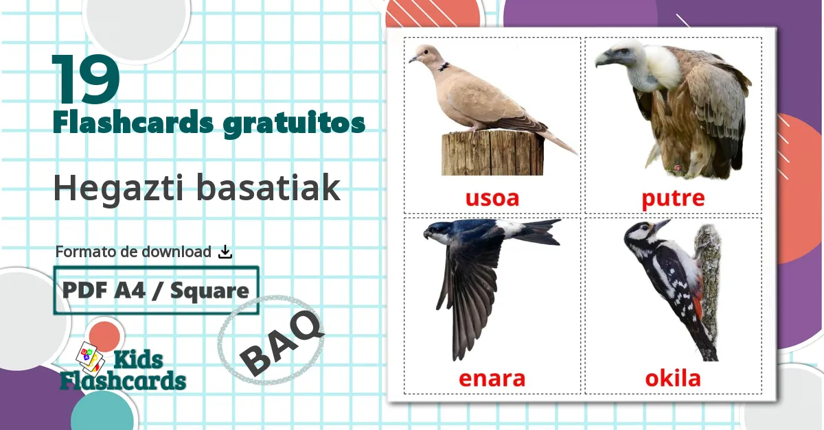 19 Flashcards de Hegazti basatiak