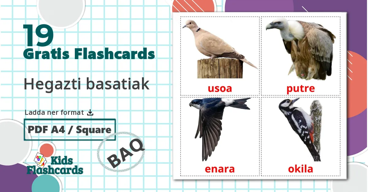 19 Hegazti basatiak bildkort för barn