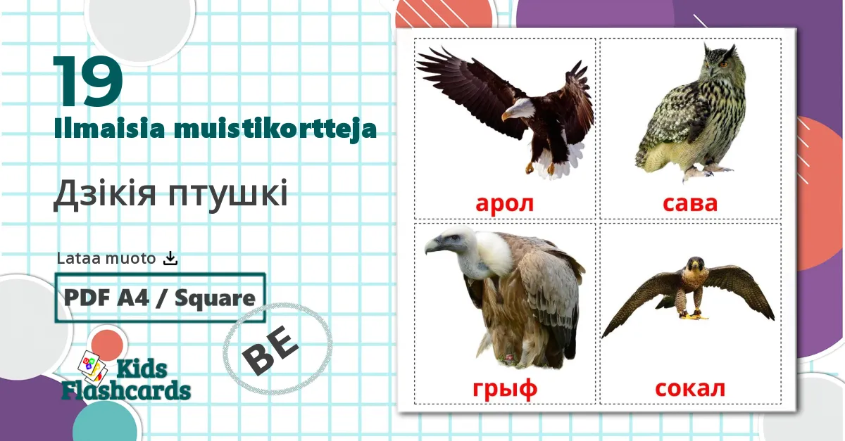 19 Дзікія птушкі lasten kuvakortit