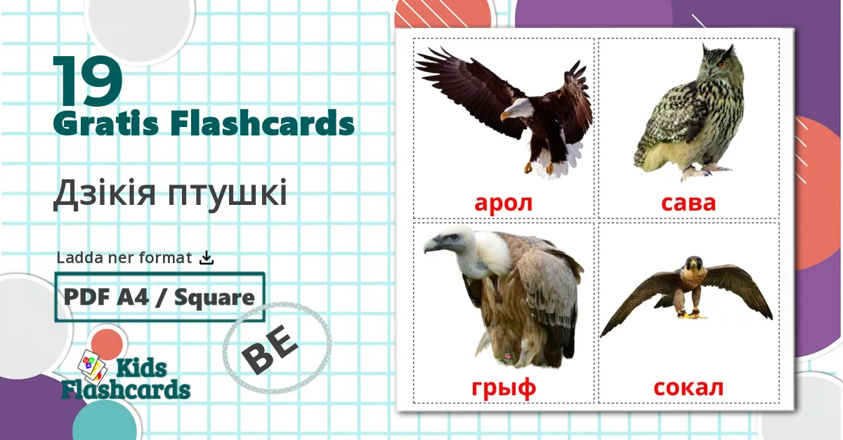 19 Дзікія птушкі bildkort för barn