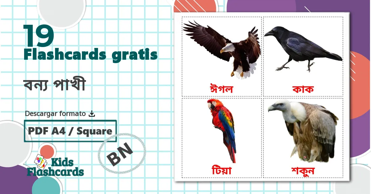 19 tarjetas didacticas de বন্য পাখী