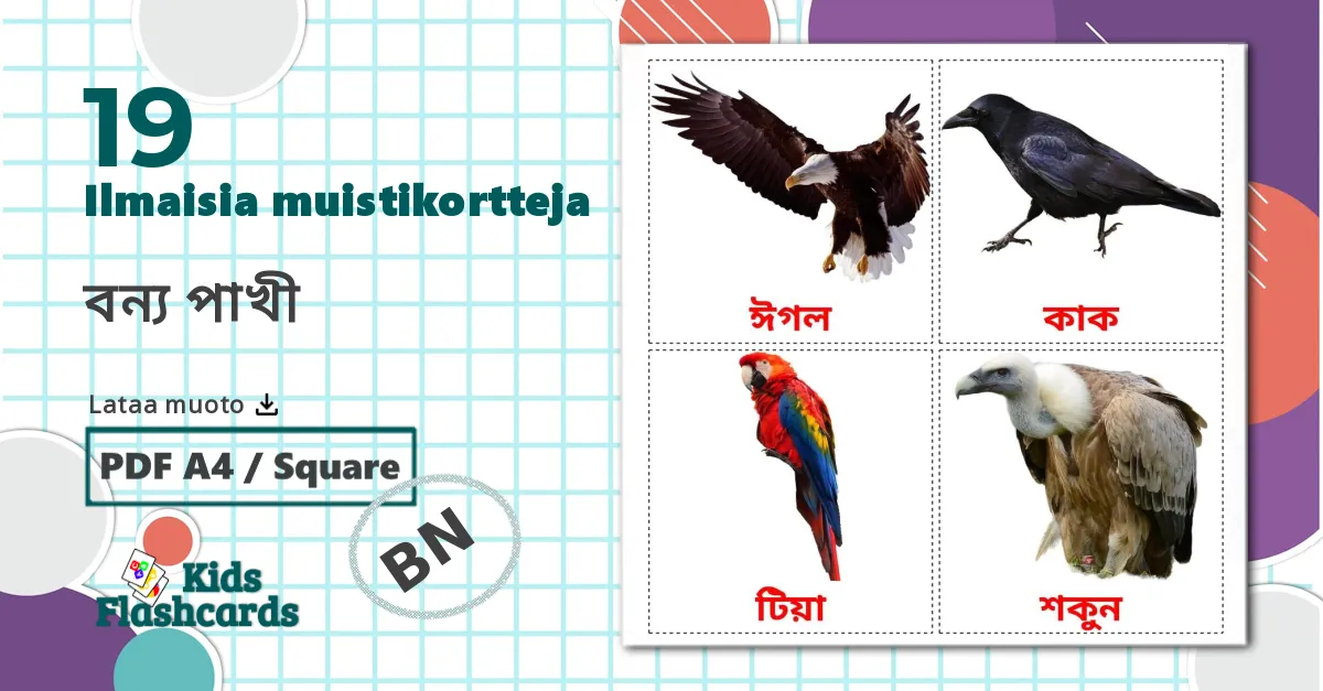 19 বন্য পাখী lasten kuvakortit