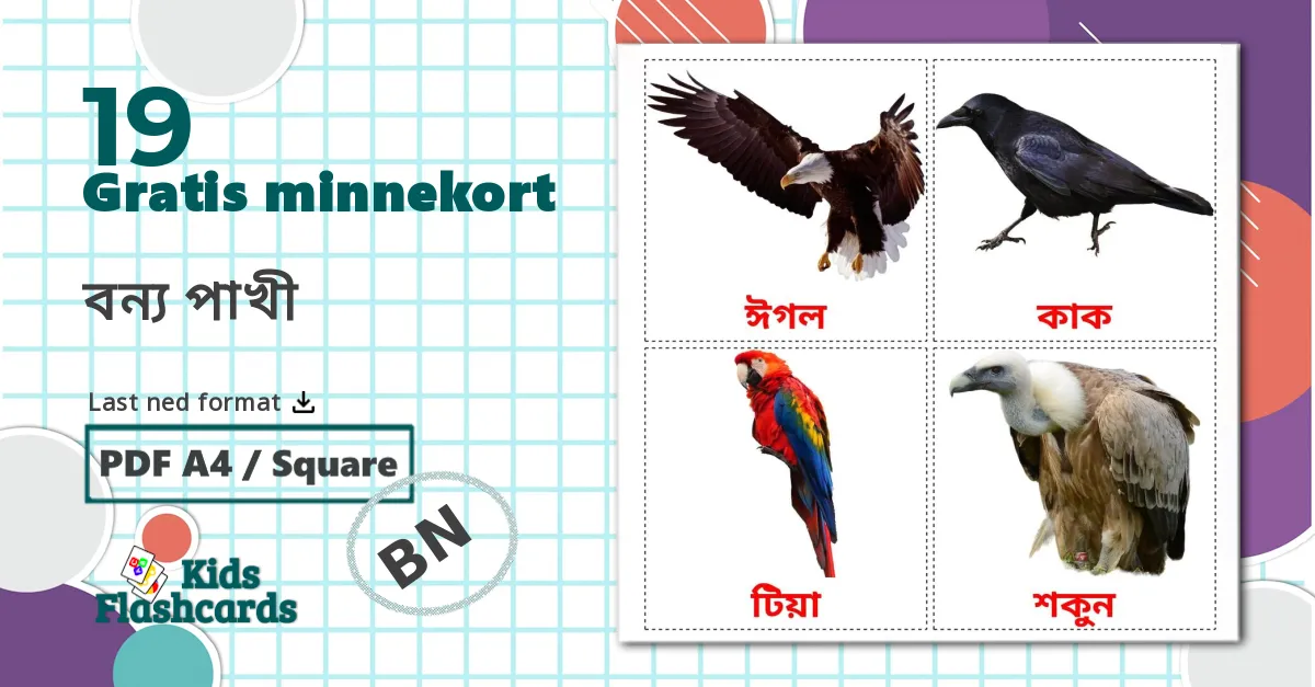 19 বন্য পাখী bildekort