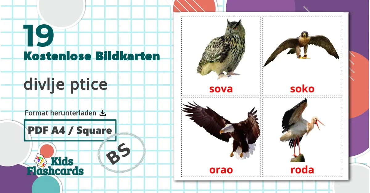 19 Bildkarten für divlje ptice