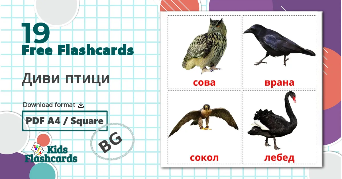 19 Диви птици  flashcards