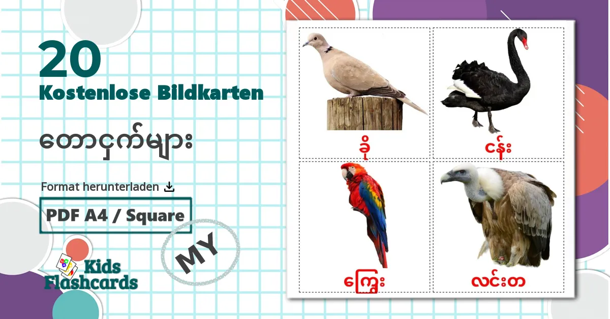 19 Bildkarten für Wildvögel