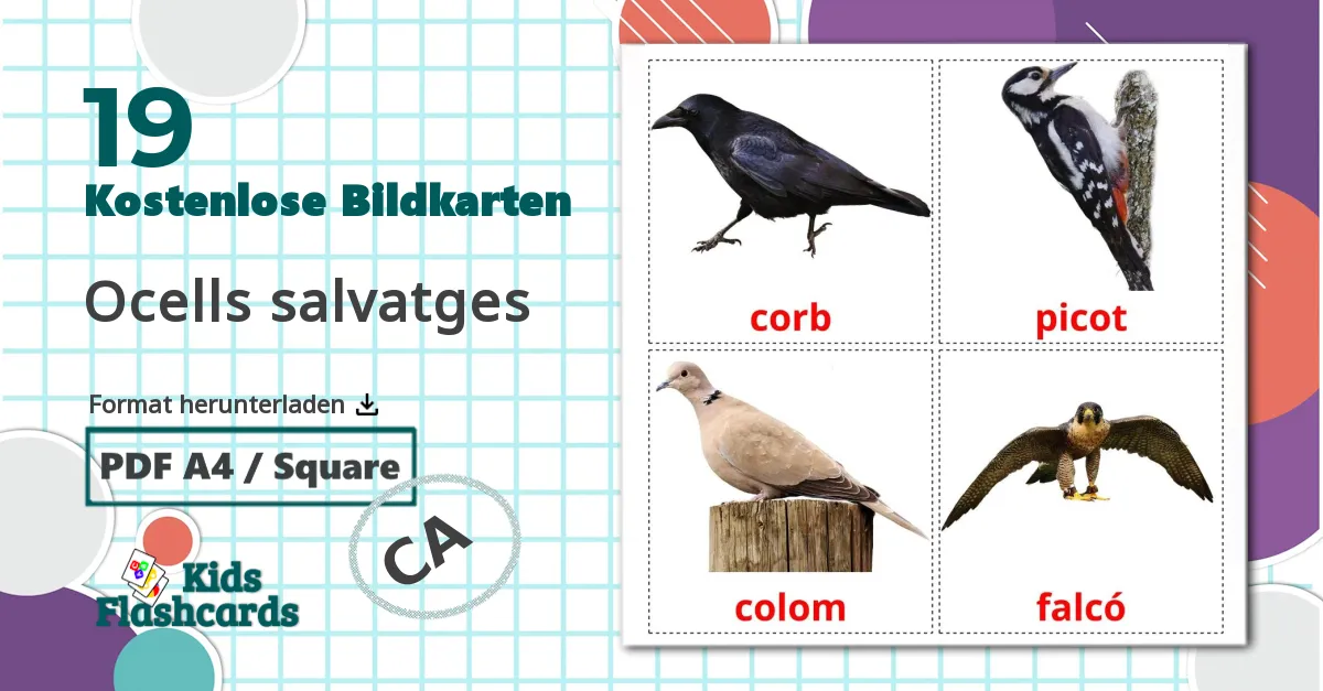 19 Bildkarten für Ocells salvatges