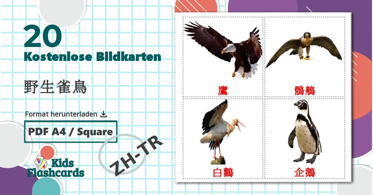 20 Bildkarten für 野生雀鳥