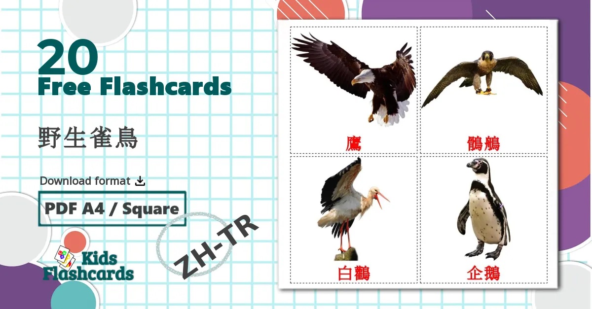 20 野生雀鳥  flashcards