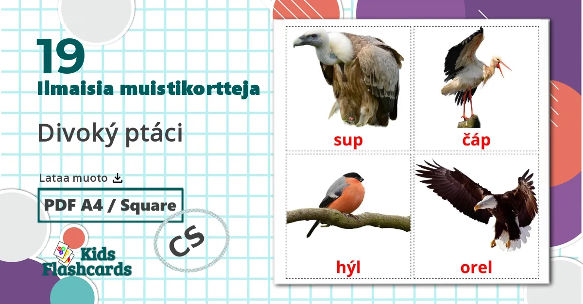 19 Divoký ptáci lasten kuvakortit
