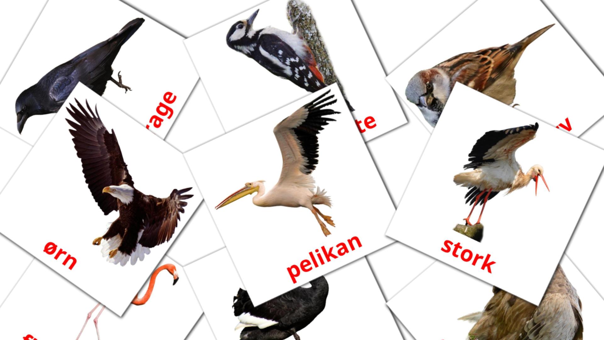 tarjetas didacticas de Vilde Fugle