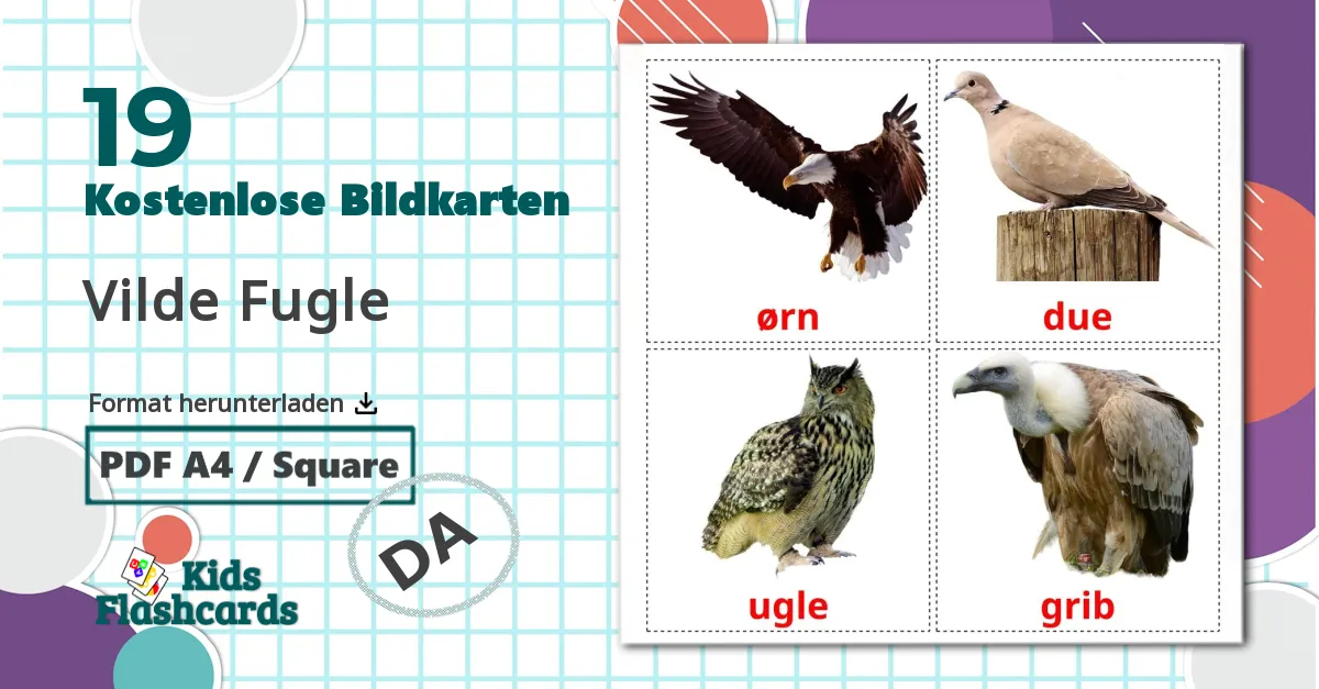 19 Bildkarten für Wildvögel