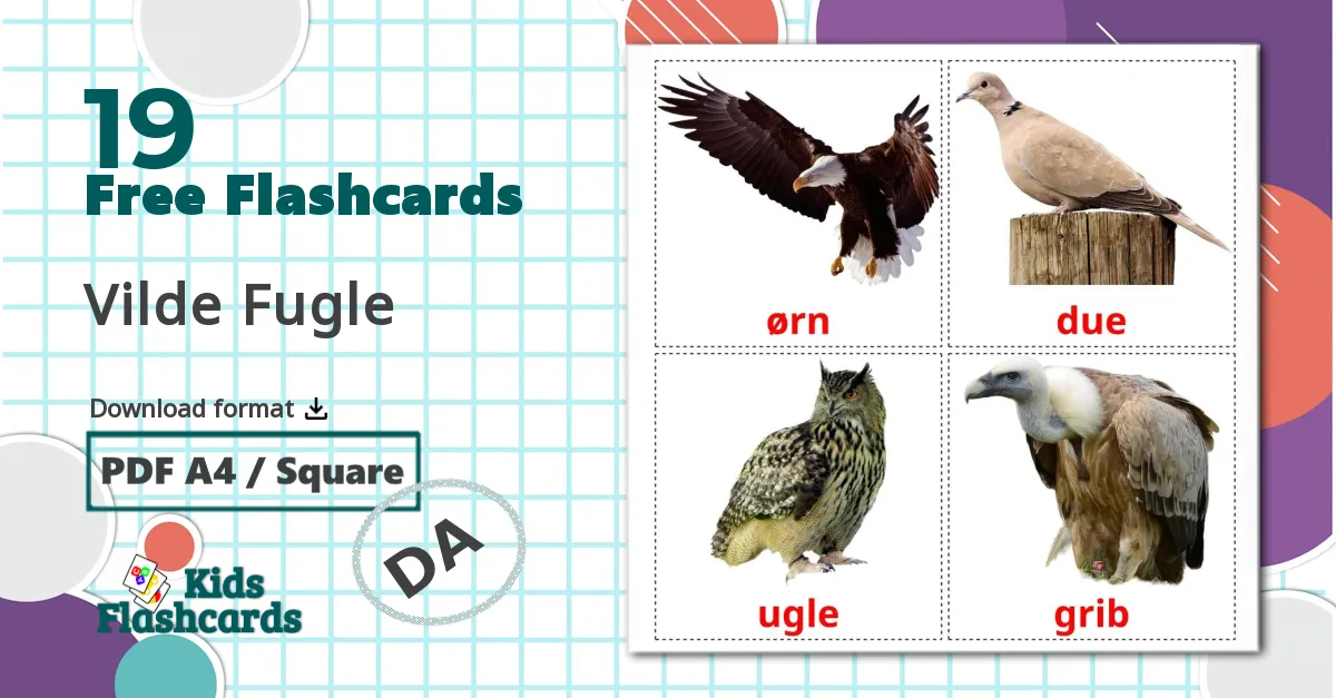 19 Wild birds flashcards