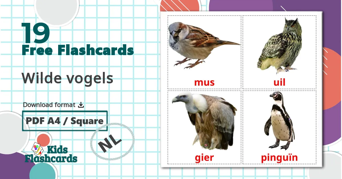 19 Wilde vogels flashcards