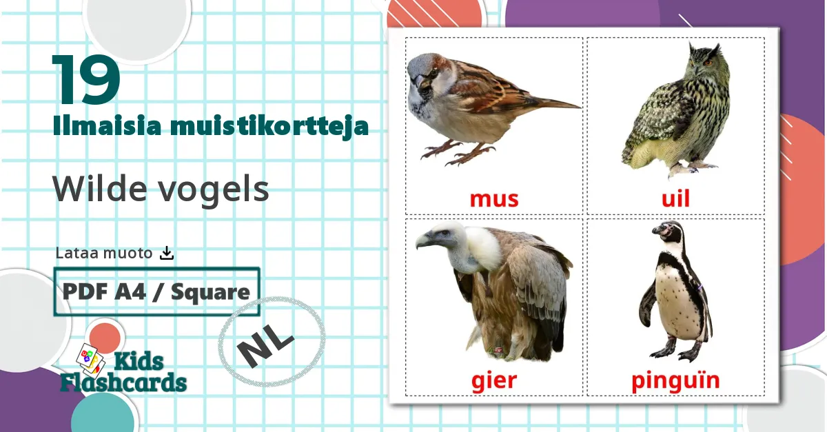 19 Wilde vogels lasten kuvakortit