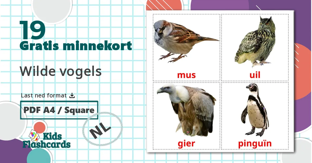 19 Wilde vogels bildekort