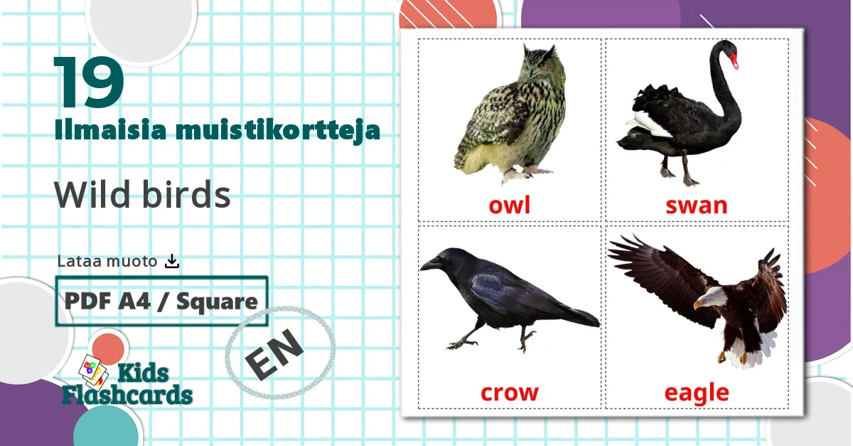 19 Wild birds lasten kuvakortit