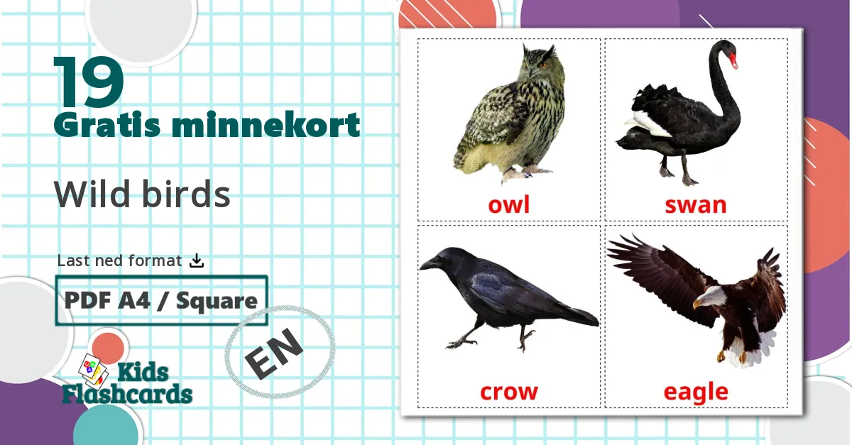 19 Wild birds bildekort