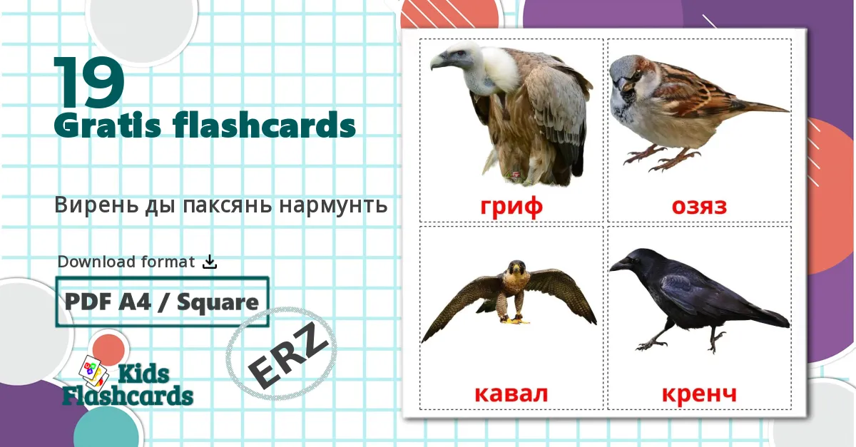 19 Вирень ды паксянь нармунть billedkort for børn