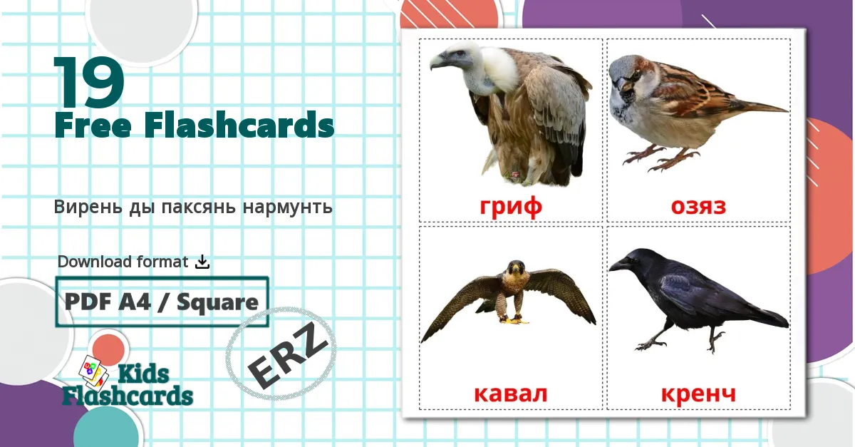 19 Вирень ды паксянь нармунть flashcards