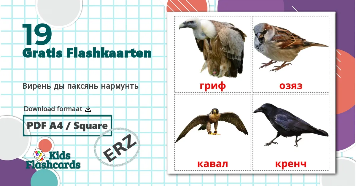 19 Вирень ды паксянь нармунть flashcards