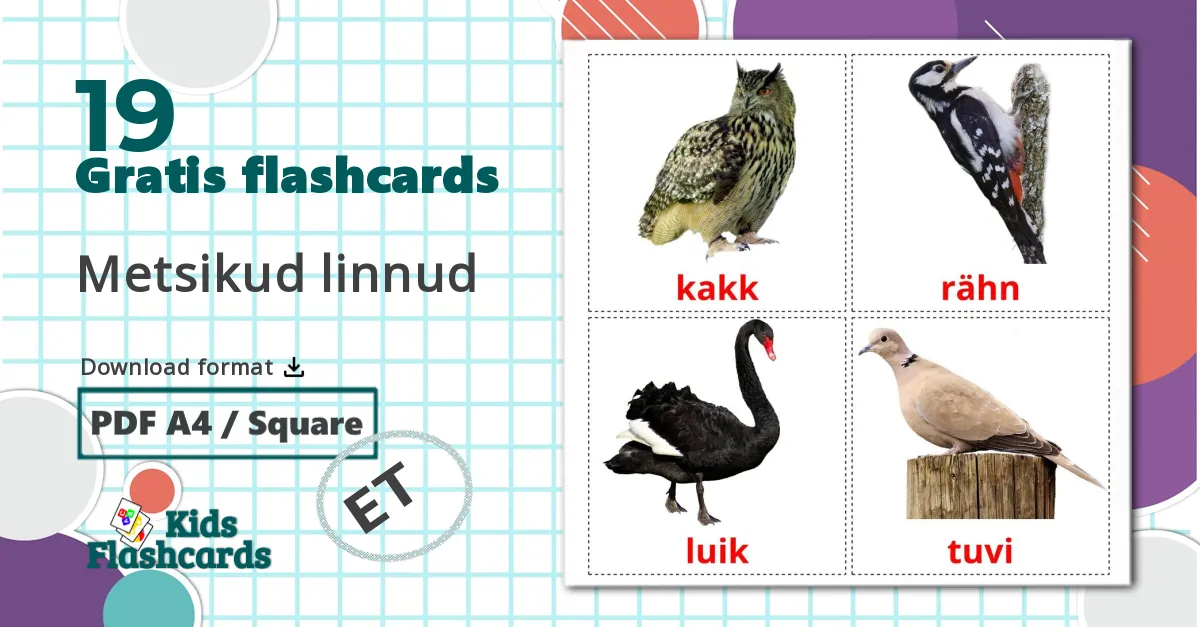 19 Metsikud linnud billedkort for børn