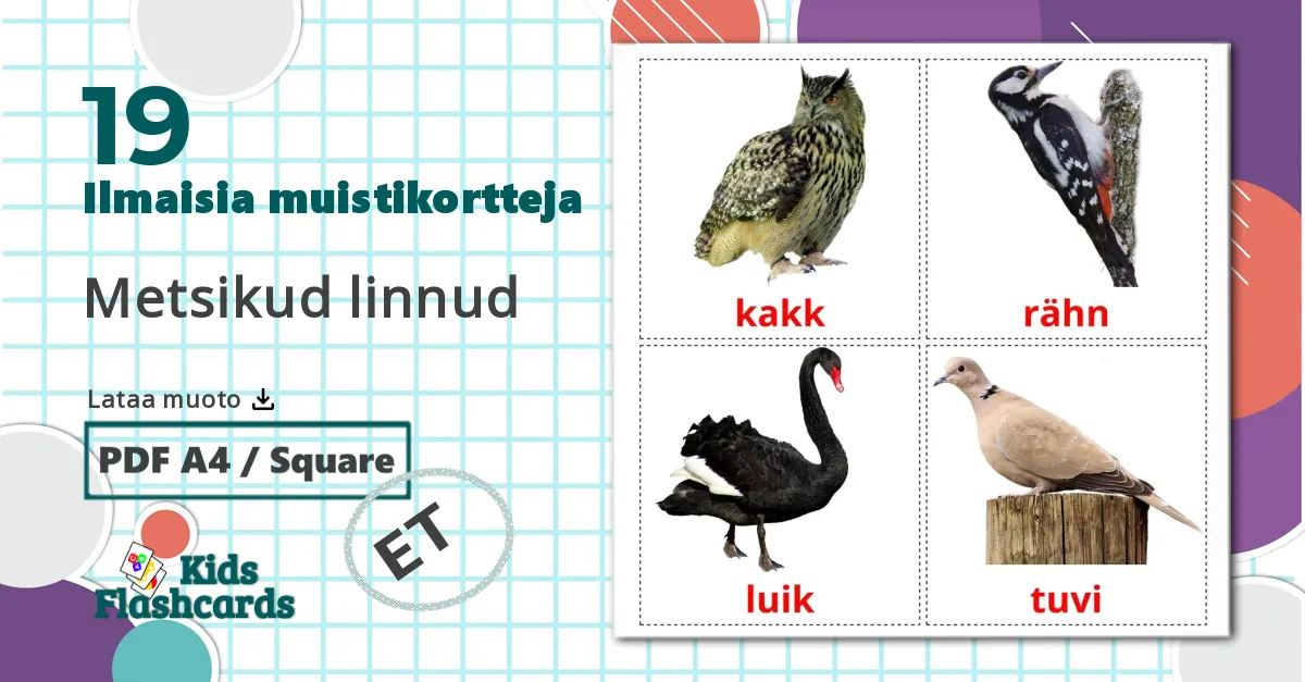 19 Metsikud linnud lasten kuvakortit