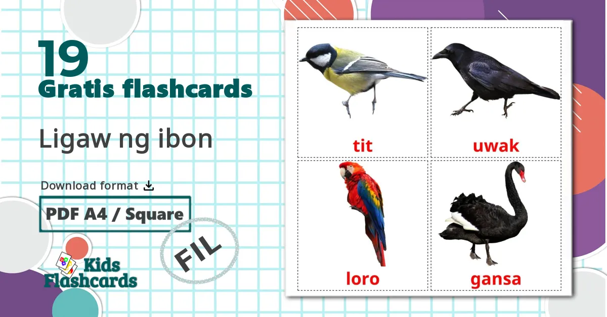19 Ligaw ng ibon billedkort for børn