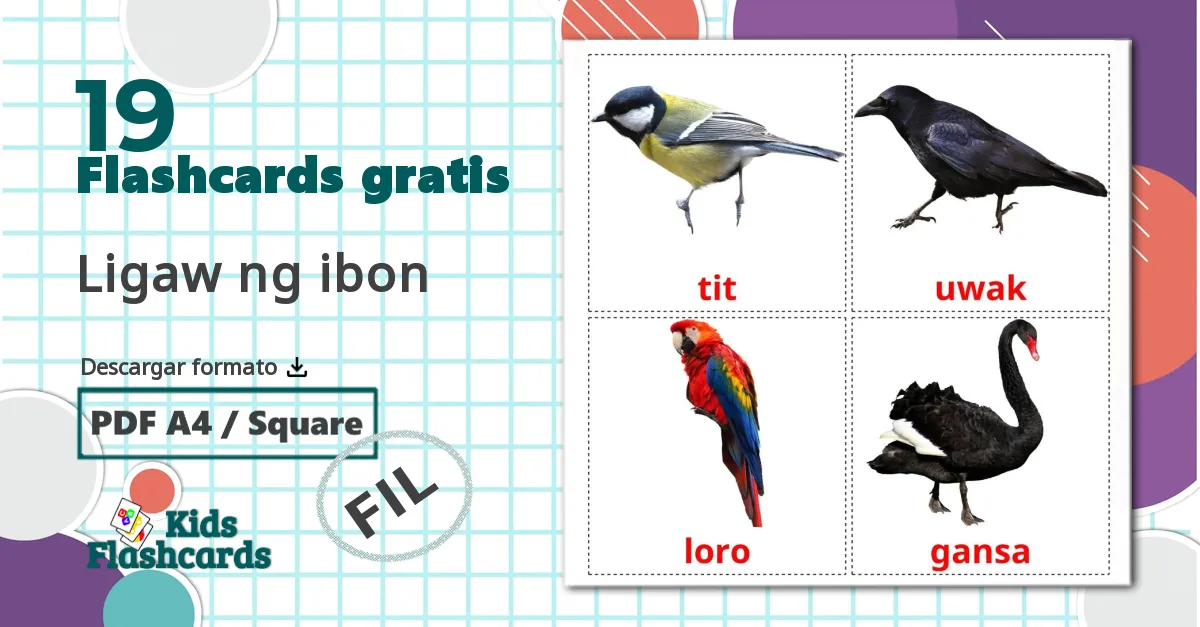 19 tarjetas didacticas de Pájaros salvajes