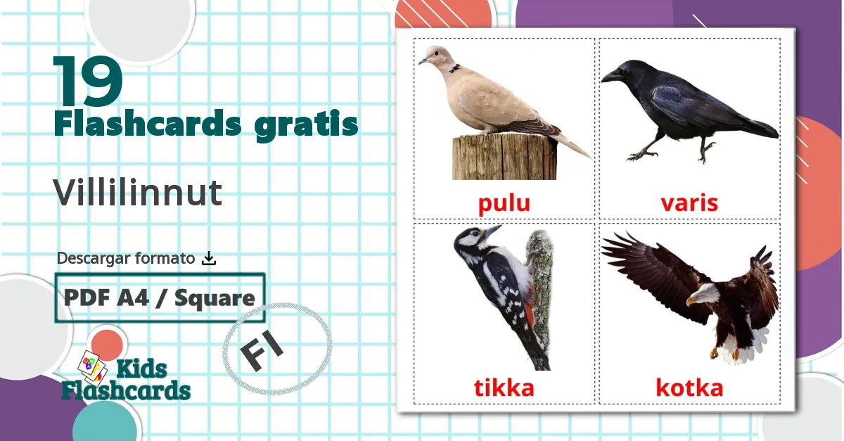 19 tarjetas didacticas de Pájaros salvajes