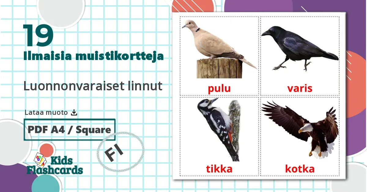 19 Luonnonvaraiset linnut lasten kuvakortit