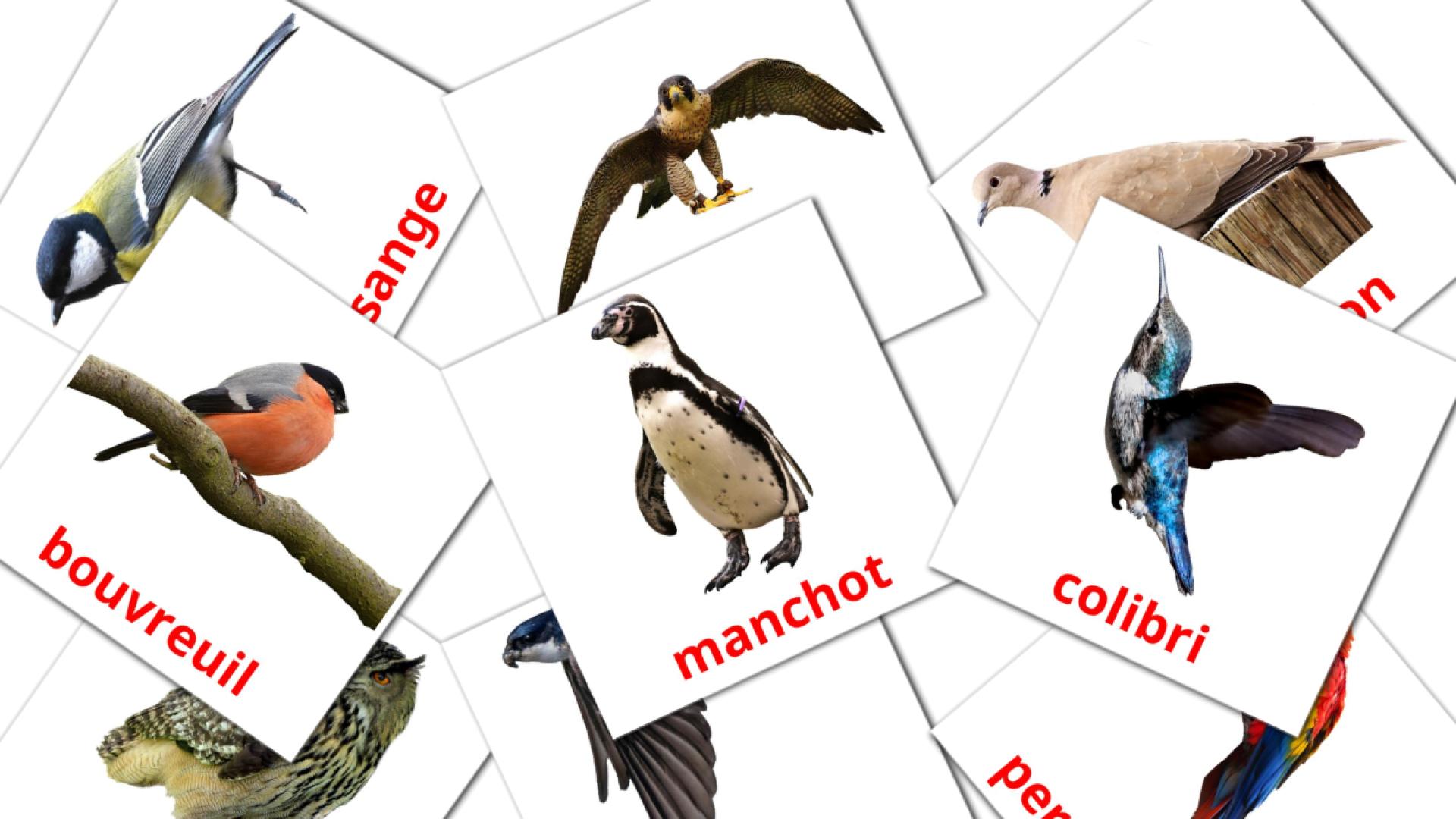 18 Карточки Домана Les Oiseaux Sauvages