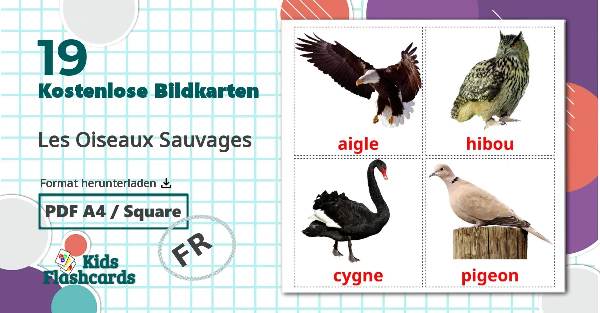 19 Bildkarten für Les Oiseaux Sauvages