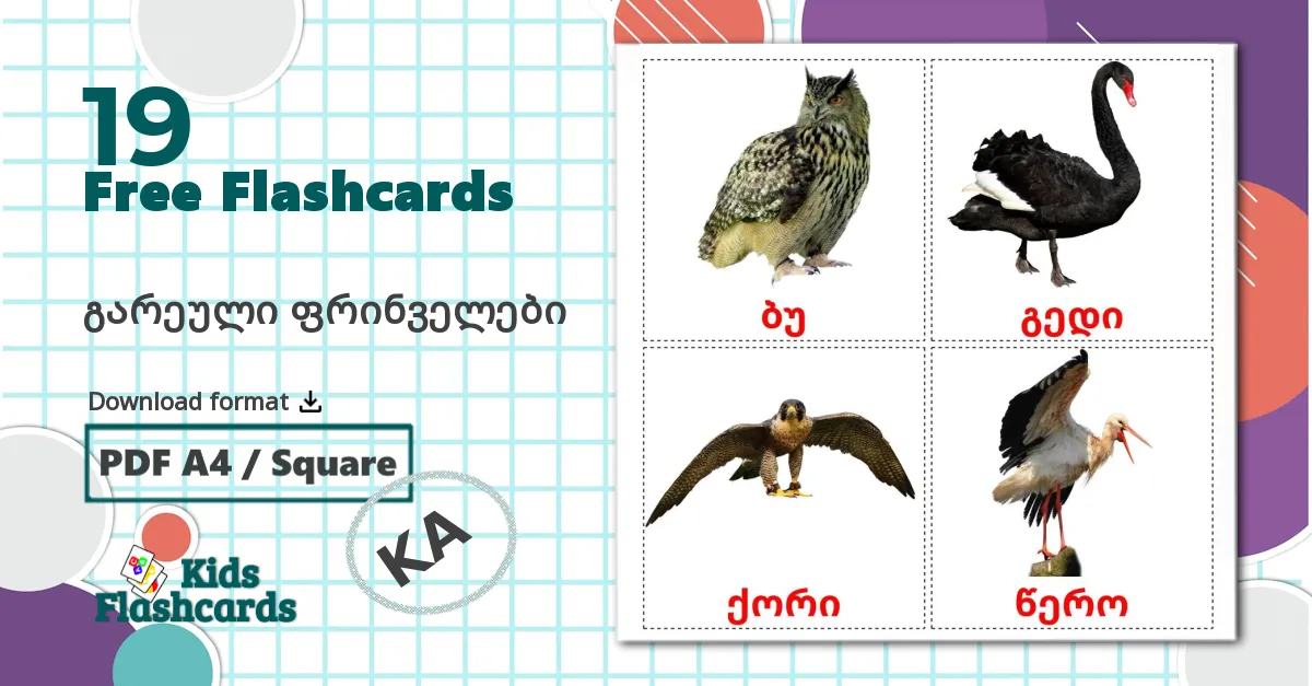 19 Wild birds flashcards