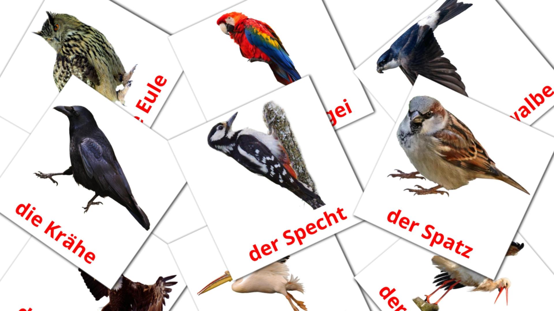 18 Bildkarten für Wildvögel