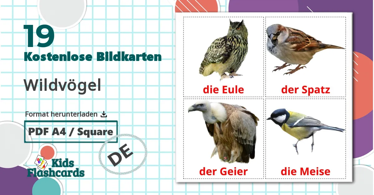 19 Bildkarten für Wildvögel