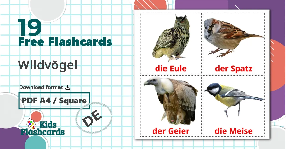 19 Wildvögel flashcards