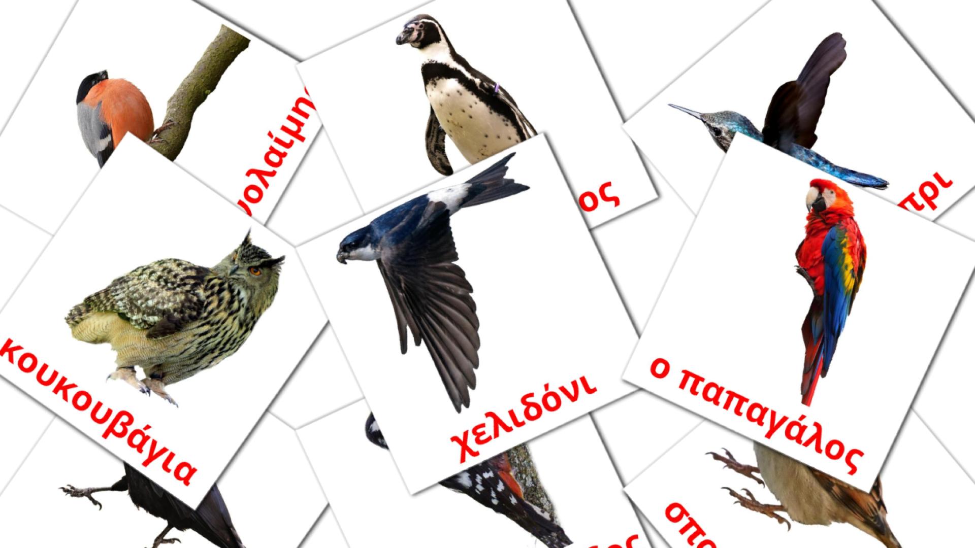 flashcards Άγρια πουλιά