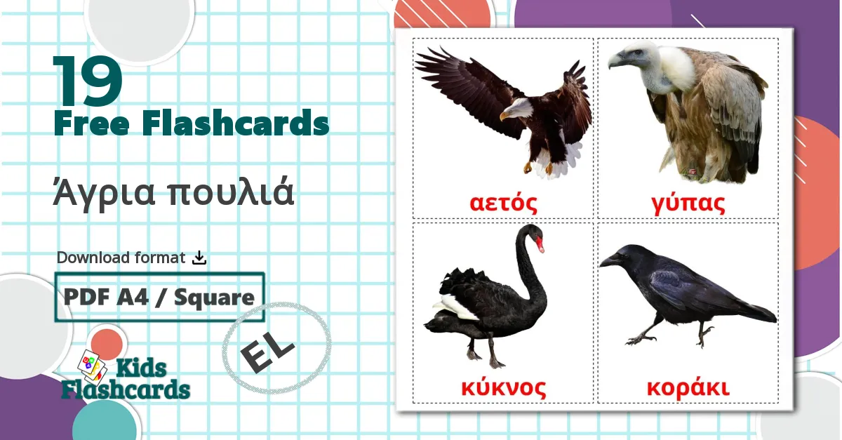 19 Wild birds flashcards