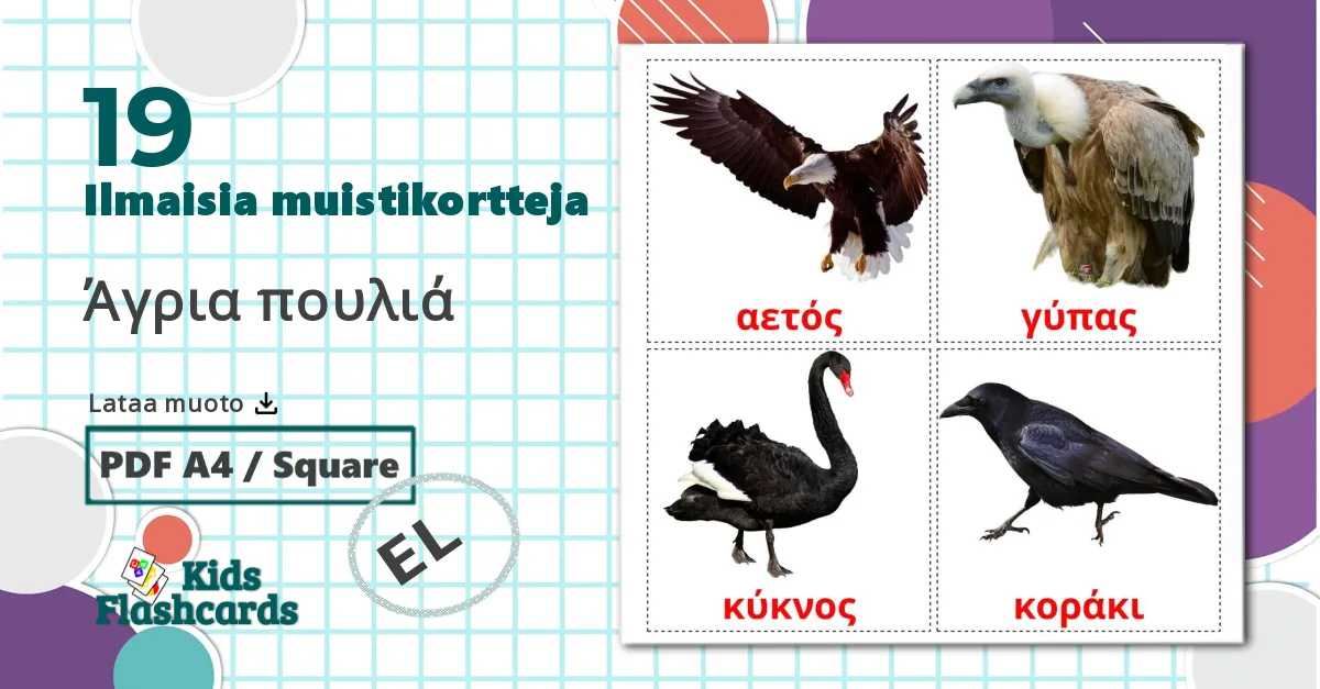 19 Άγρια πουλιά lasten kuvakortit